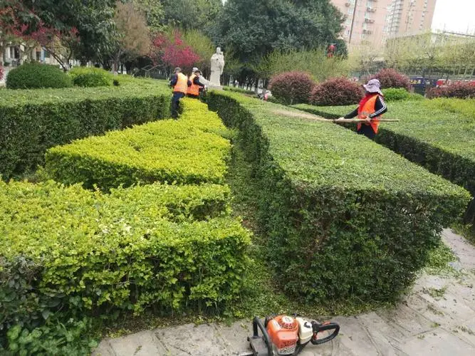 新郑市道路绿化工程